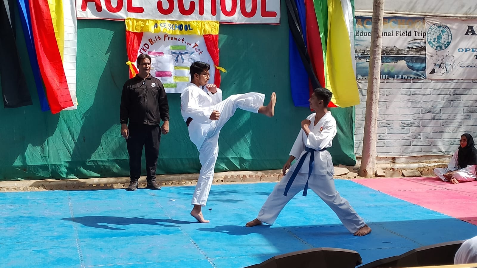 Taekwondo
